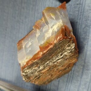 Arizona 🌈 Rainbow Petrified Would